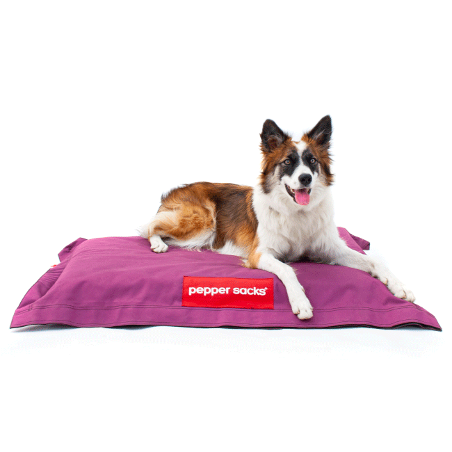 cama de perro grande cama de perro grande